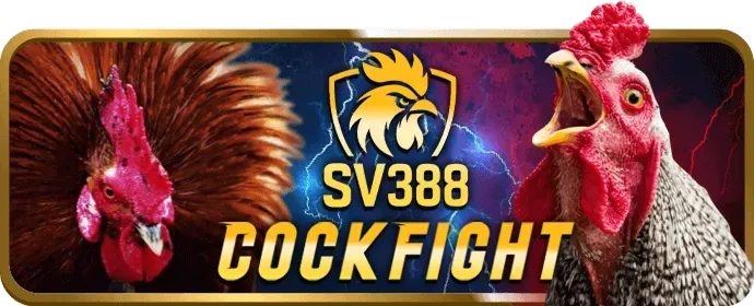 Khôi phục mật khẩu 3bet
