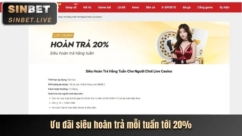 Quy trình đăng nhập 3bet