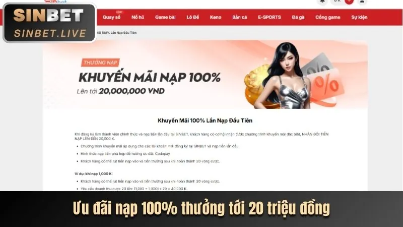 Quy trình đăng ký 3bet
